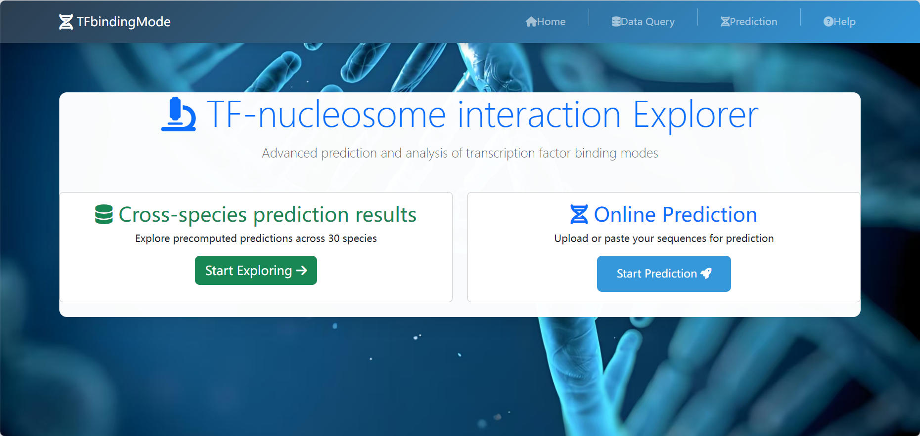 Website homepage interface
