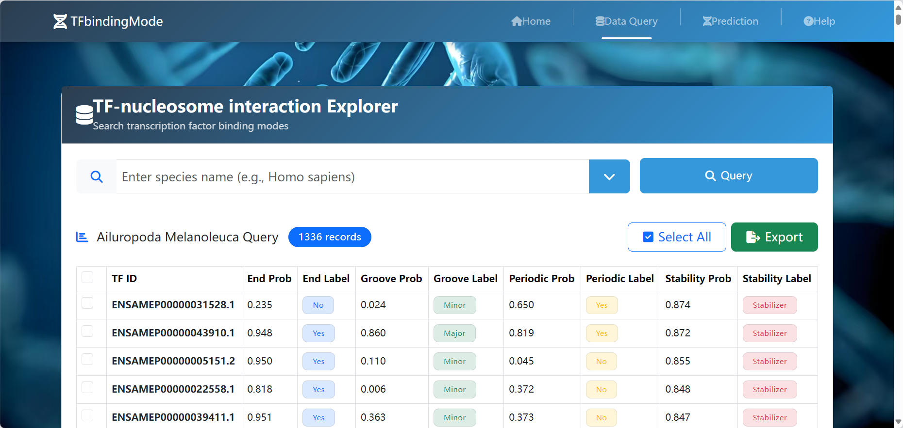 TF-nucleosome browser interface