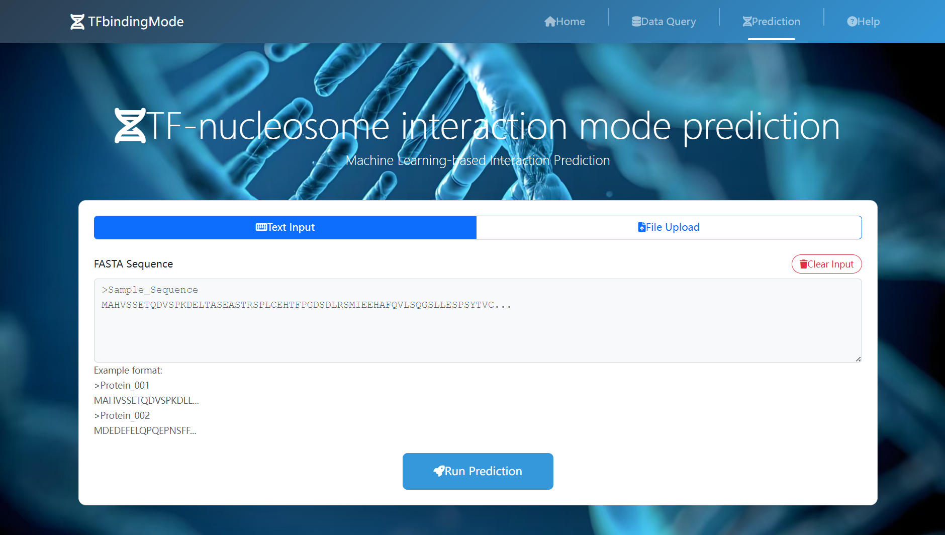 Sequence input interface