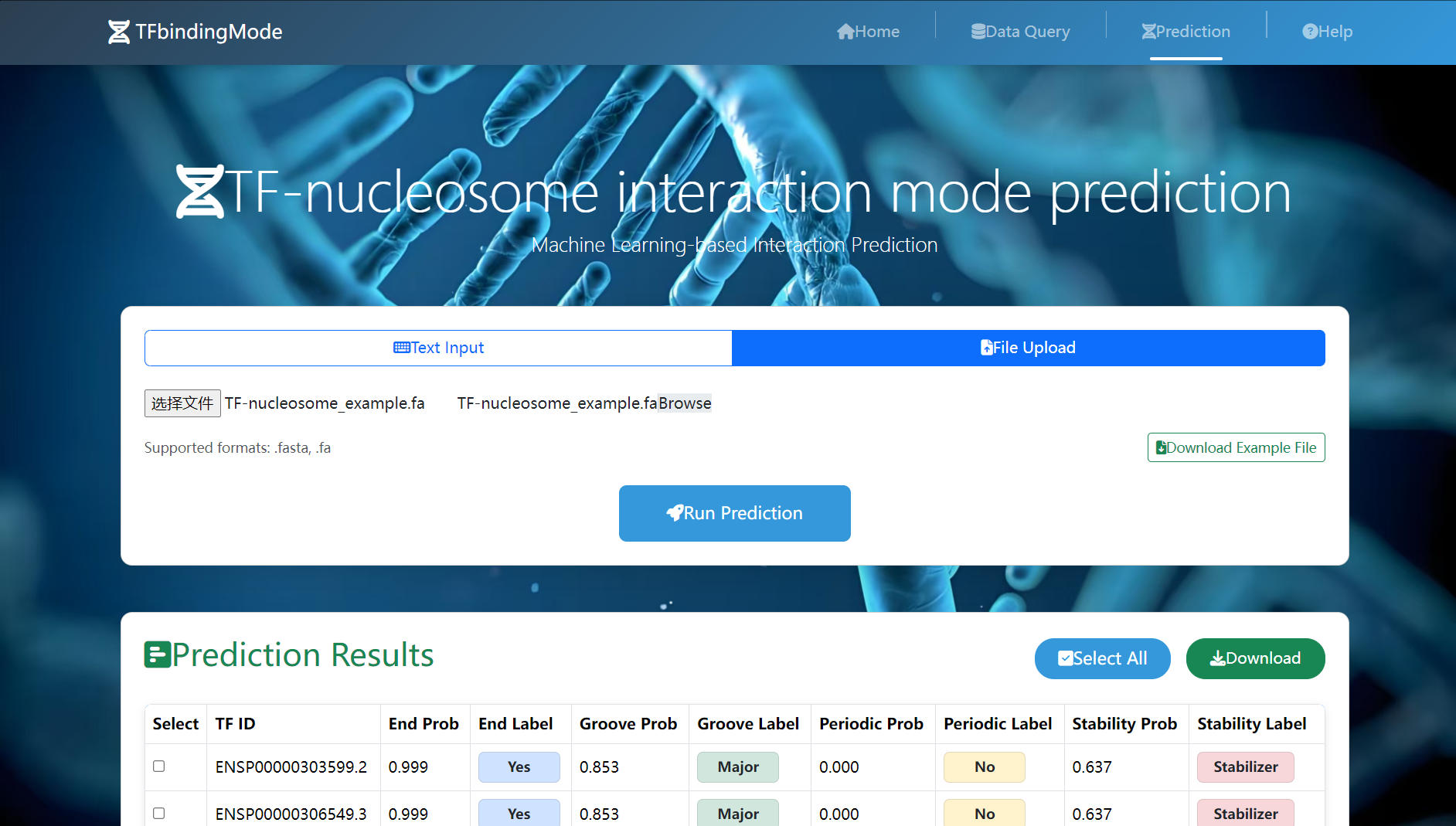 File upload interface
